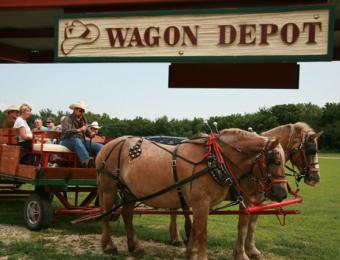 Prairie Rose Wagon Ride Visit Wichita