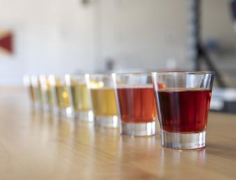 Cider variety