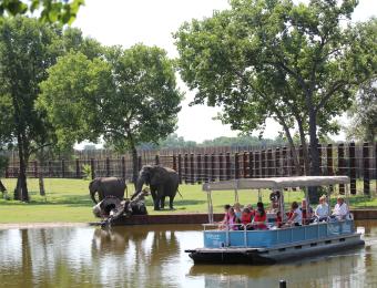 Boat Ride