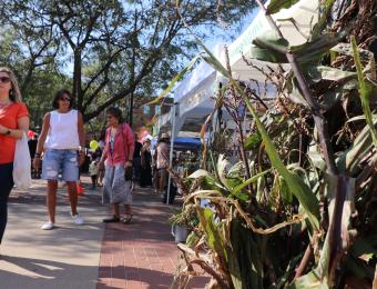 Shopping Local at Old Town Farmers' Market