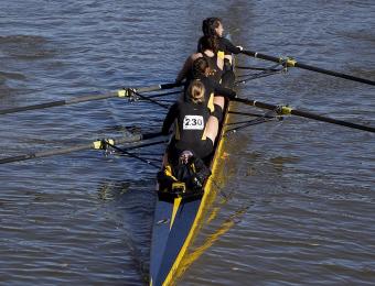 Shocker Rowing