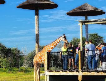 Tanganyika Wildlife Park Wichita
