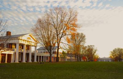 The Lawn in the Fall