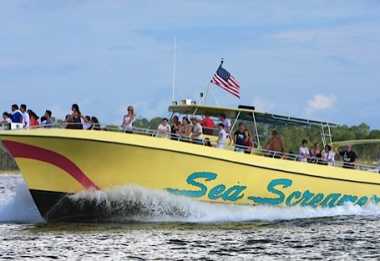 Dolphin Tours Panama City Beach | Panama City Beach Attractions