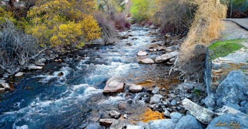 provo river