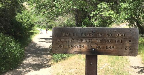 trailhead battle creek falls, curley springs