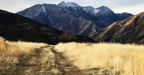 The Ultimate Guide to 50 Hikes in Utah Valley