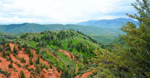 The Ultimate Guide to 50 Best Hikes in Utah Valley - Mount Nebo Bench Trail