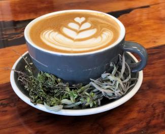 Herbaceous Latte at Relevant Coffee