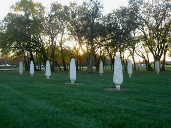 Field of Corn