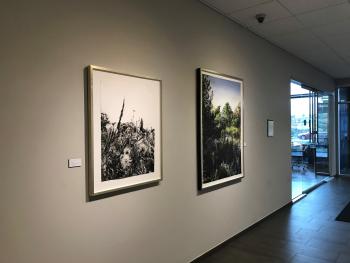 Bridge Park Gallery with Rod Bouc Art