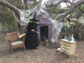 catalina-conservancy-halloween-garden-1024x768.jpg