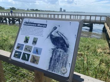 Bucktown Marsh info plaque overlooking the marsh in Jefferson Parish, LA