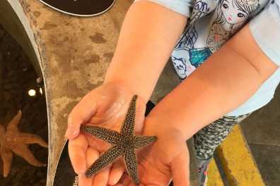 Young visitor holding starfish