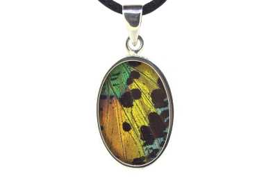 Real Butterfly Wing Pendant
