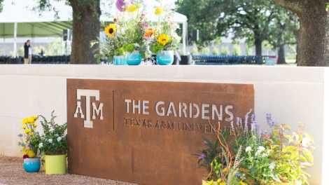 The Gardens At Texas A M University College Station Tx 77843