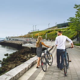 Seawall with Bikes