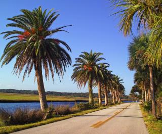 Ormond Scenic Loop Amp Trail Ormond Beach Fl 32174