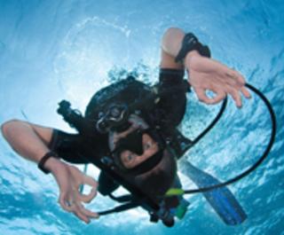 Scuba Lessons Inc Edgewater Fl 32141
