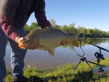 A man holding a large Carp beside a Dayton river