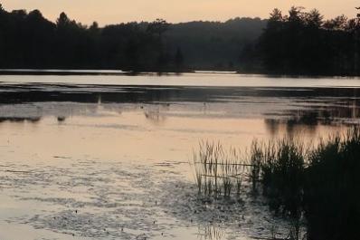 Hewens_Creek_Park_1.jpg