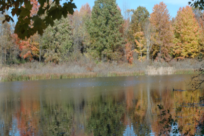 Kosch-Headwaters-Preserve.png