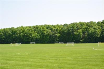 Wall-Park