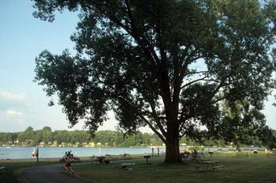 Waterloo Recreation Area