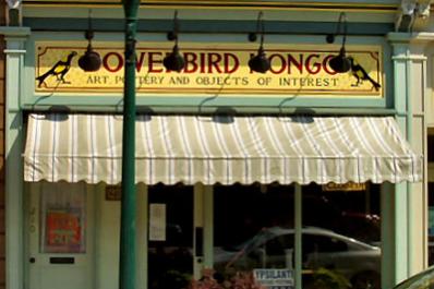 bowerbird.jpg