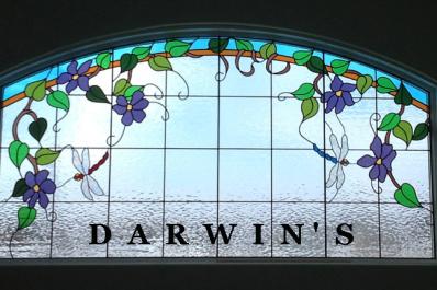 darwin