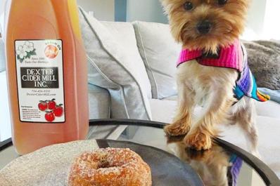 Dexter Cider Mill dog pic