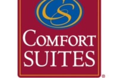 Comfort Suites Saginaw Saginaw Mi 48604