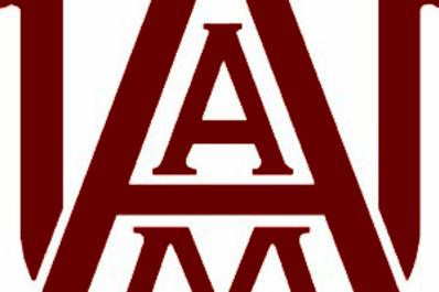 Alabama A M University