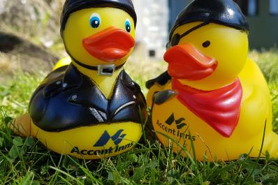 Free rubber duck in every room