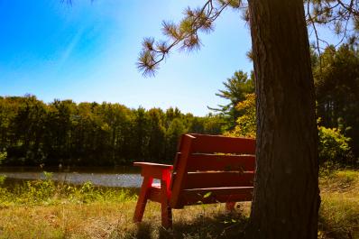 Camp Freedom