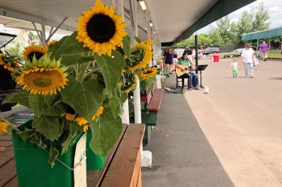 Co-Op Farmers Market