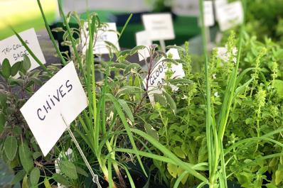 Co-Op Farmers Market