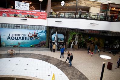 Electric City Aquarium and Reptile Den