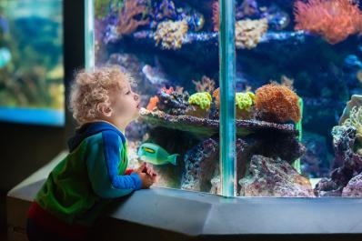 Electric City Aquarium and Reptile Den