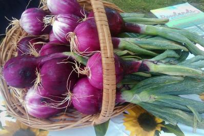 Hillside Park Farmers Market