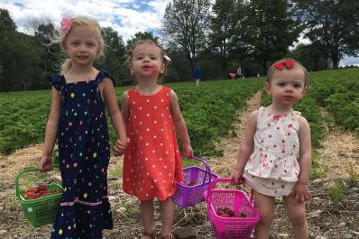 Pallman Farms strawberries