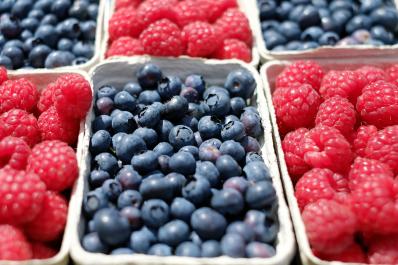 The Great Produce Experience Farm Stand