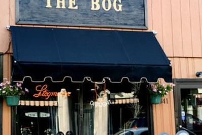 The Bog