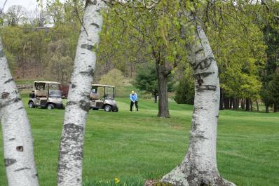 LMGC Golfer