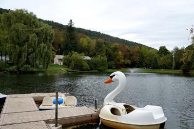 Harmony Ridge Swan Boat