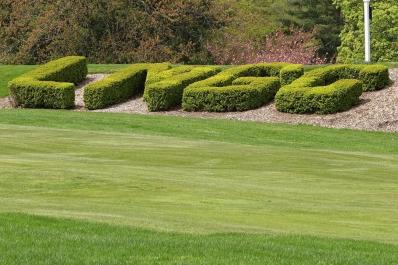 LMGC Hedges
