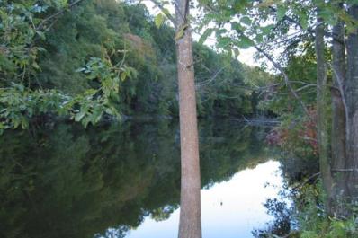 Pine Pond