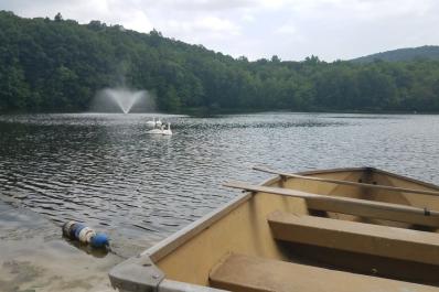 Tall Timbers Lake