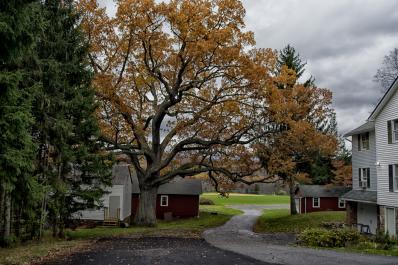 Van Kirk Homestead Grounds 2