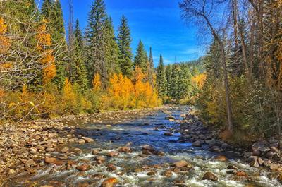 Fall Drives North Routt